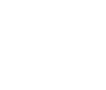 Pixelise